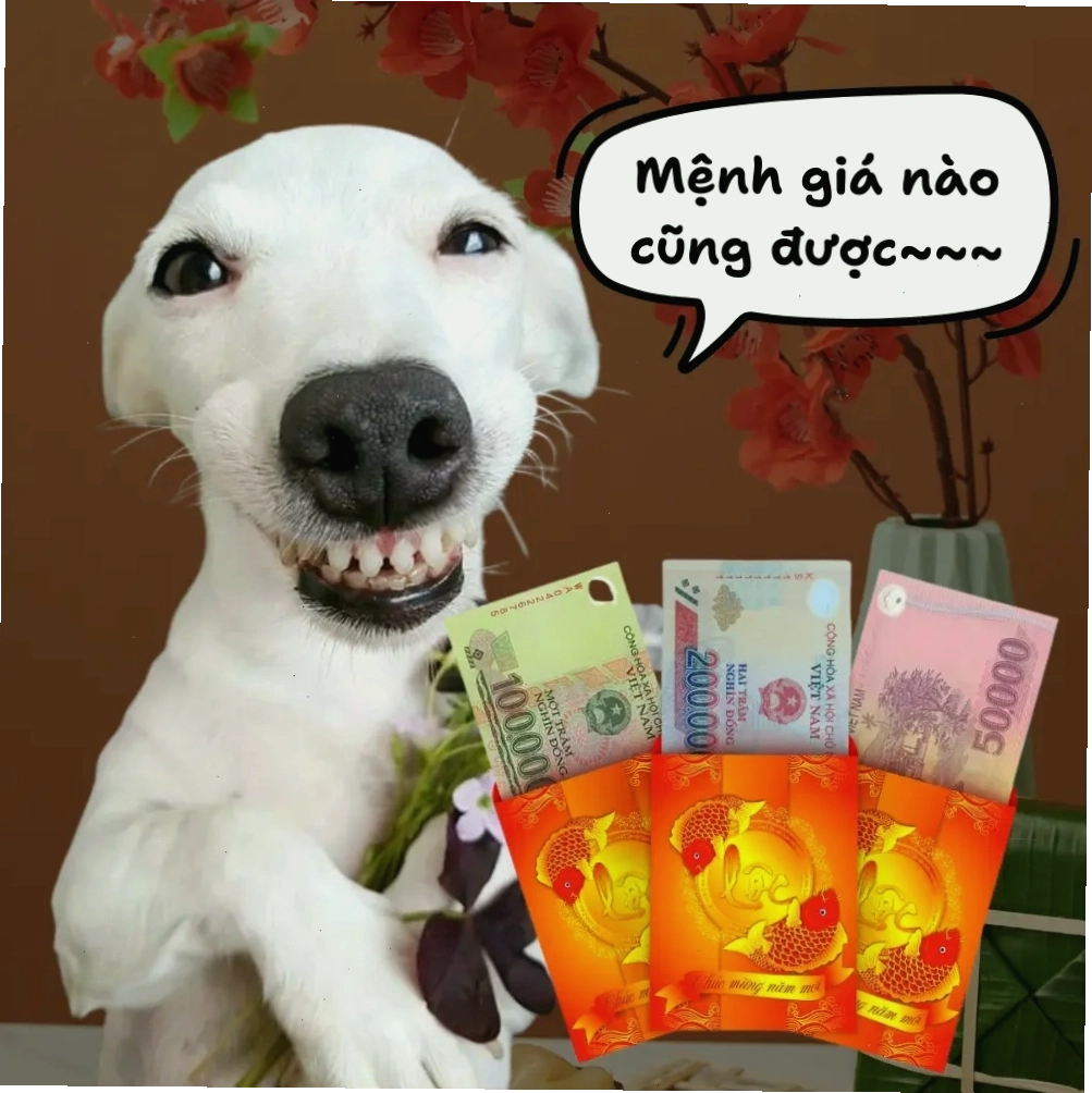 Meme hình chó hài hước cười nhe răng nhận lì xì Tết 100k, 200k, 50k
