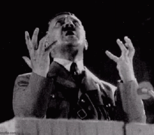 Meme Hitler biểu cảm tức giận được cắt ghép từ bộ phim Downfall