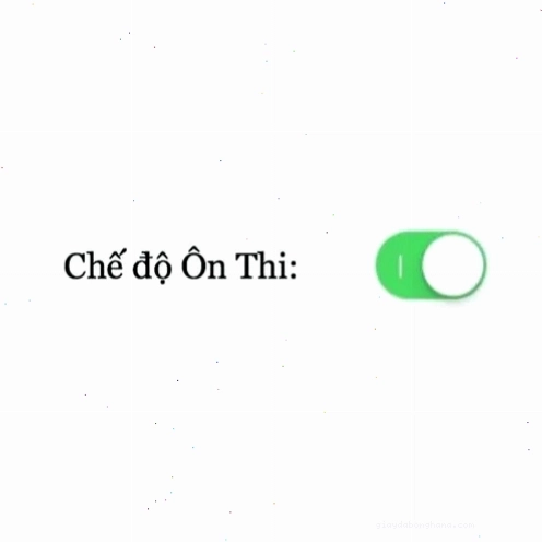 Meme học bài chế độ ôn thi căng thẳng