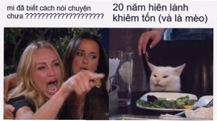 Meme là gì? Biểu tượng văn hóa internet