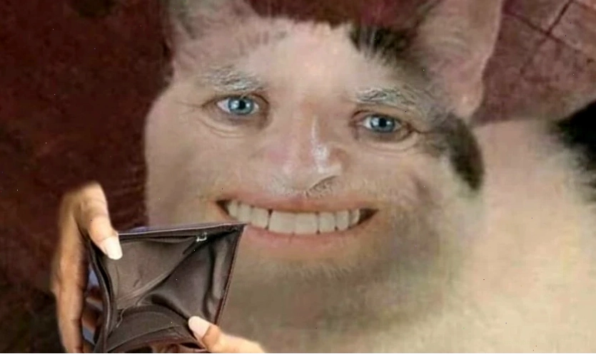 Meme mèo bựa với vẻ mặt "không quan tâm"