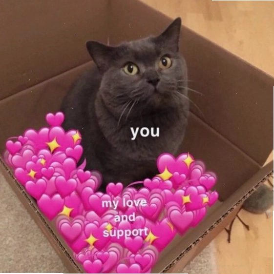 Meme mèo con với đôi mắt to tròn