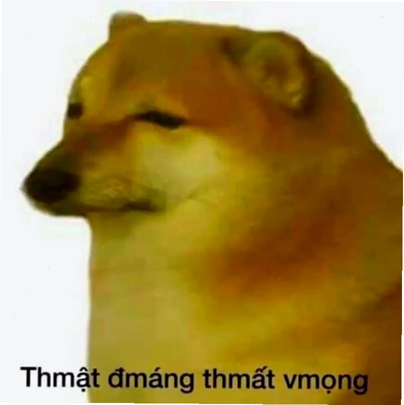 Meme mèo với biểu cảm thất vọng dễ thương và hài hước