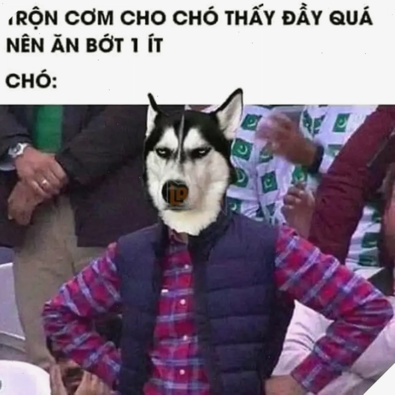 Meme minh họa hình ảnh bác thất vọng về biểu hiện của một người
