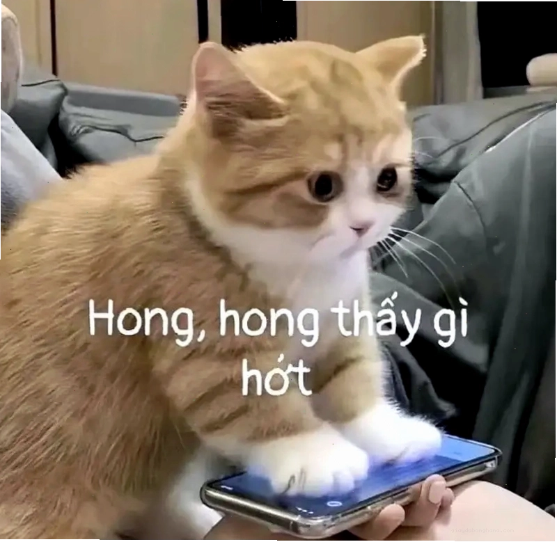 Meme người đàn ông với biểu cảm thất vọng đầy biểu cảm