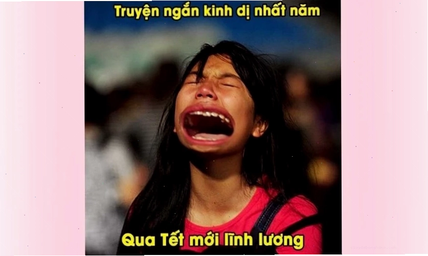 Meme Tết 2026 vui nhộn về con giáp