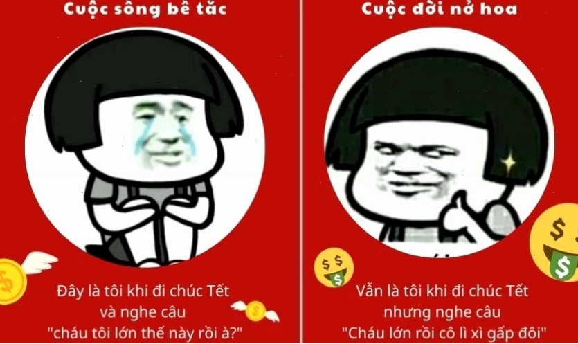 Meme Tết con ngựa vui nhộn