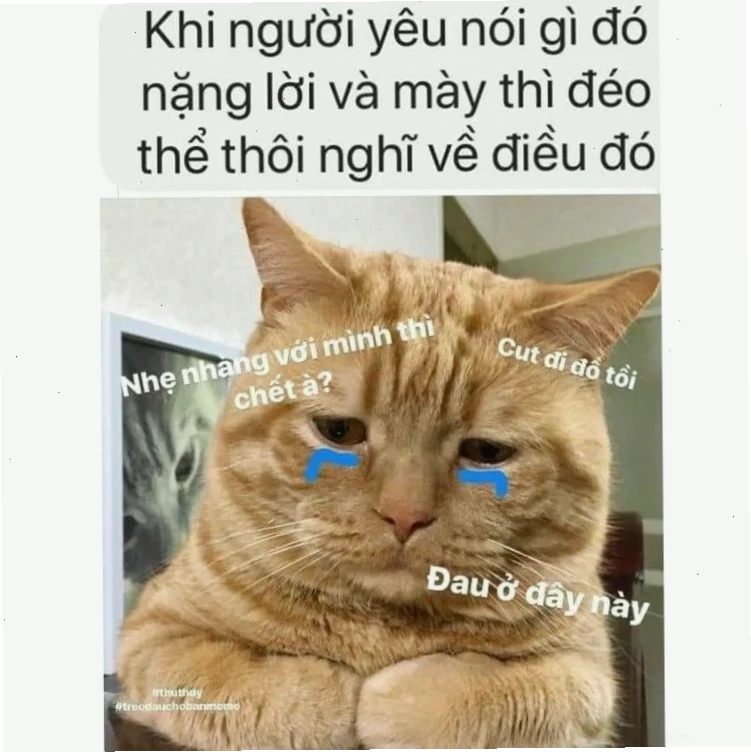 Meme thể hiện sự buồn bã nhưng vẫn có nét hài hước