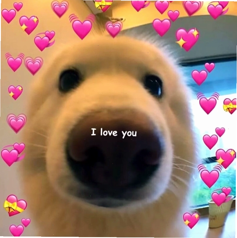Meme tình yêu ngộ nghĩnh