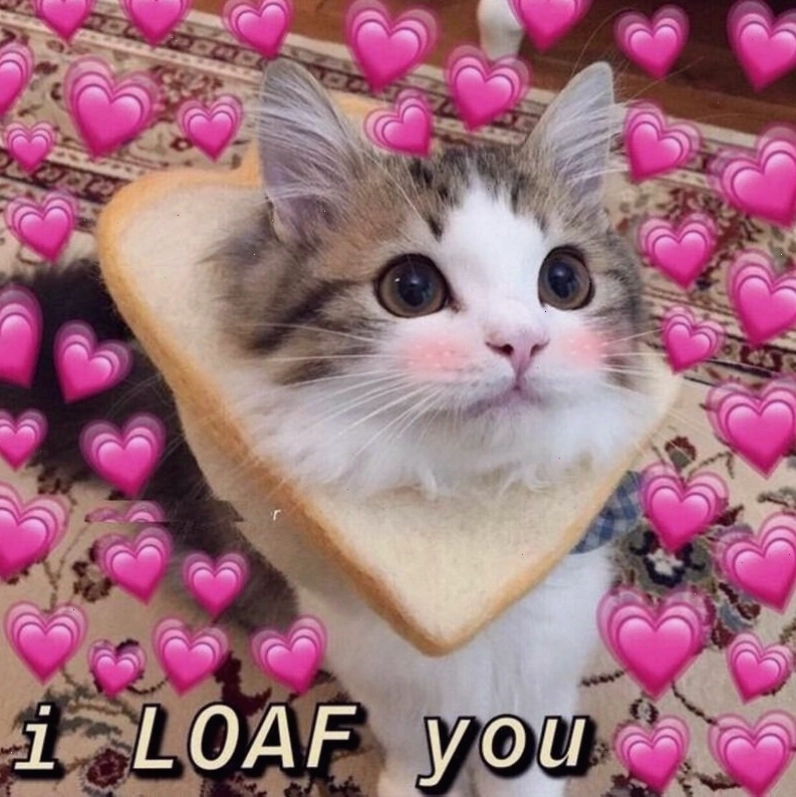 Meme tình yêu thể hiện sự gắn bó