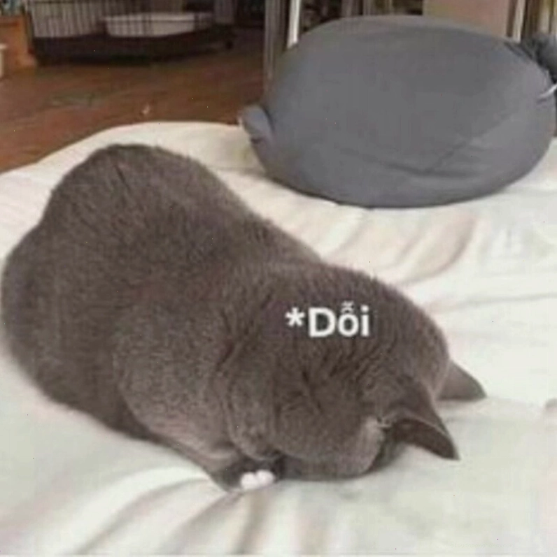 Meme tình yêu về các cặp đôi