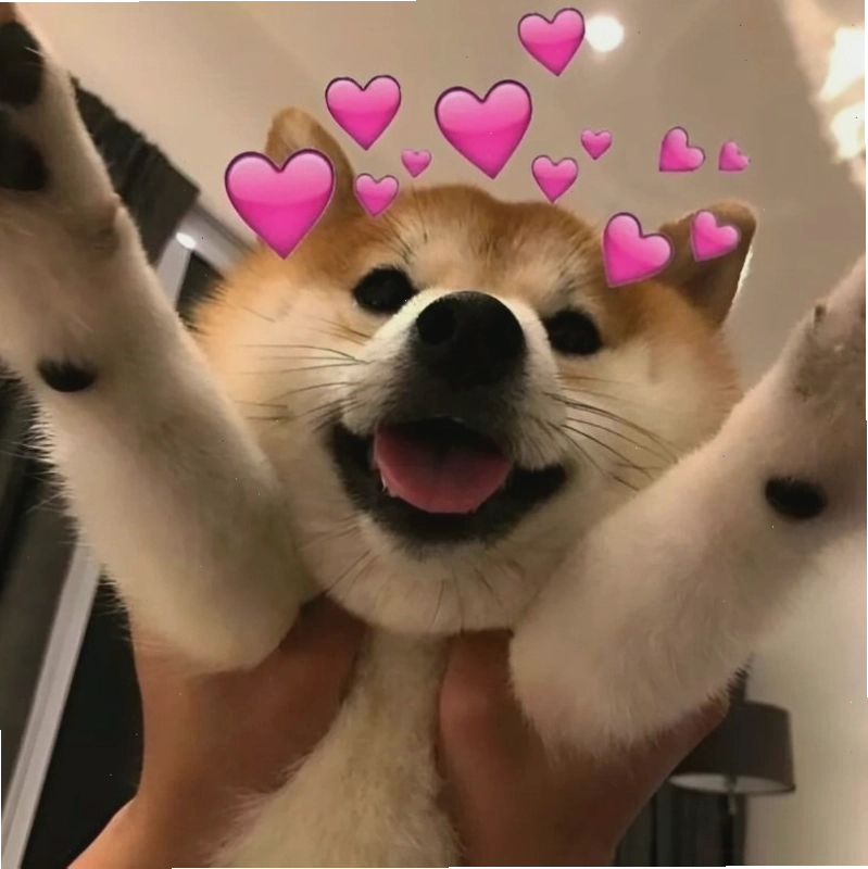 Meme tình yêu với biểu cảm hài hước