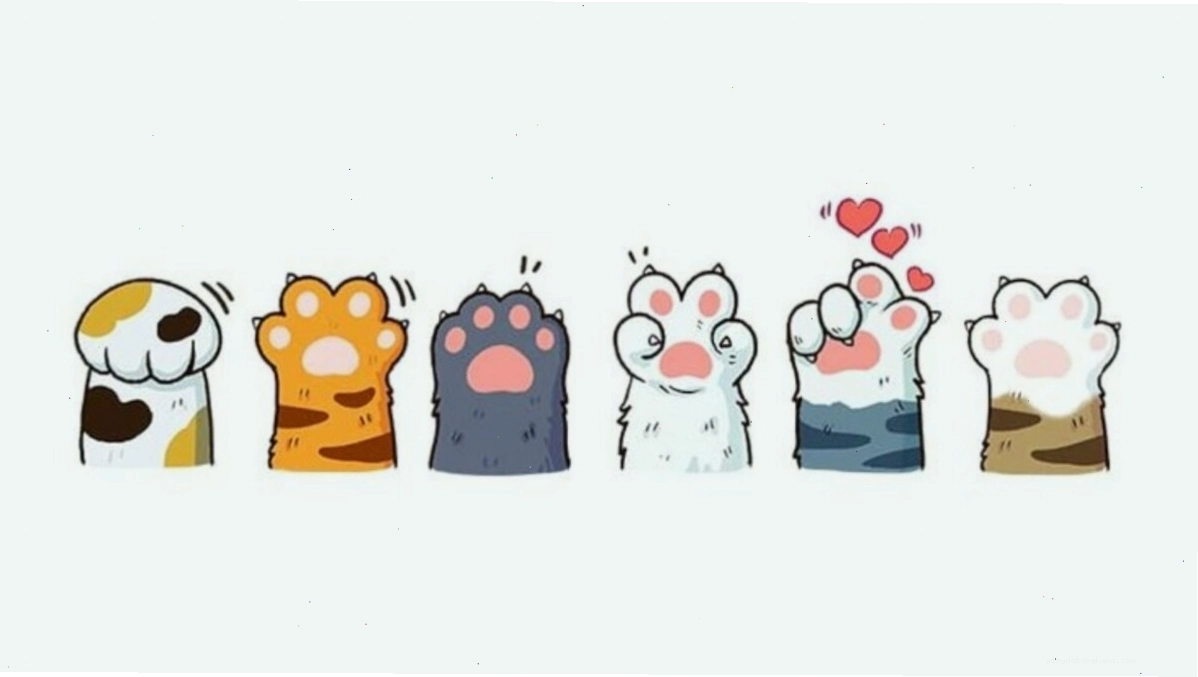Mèo anime trong trang phục pháp sư