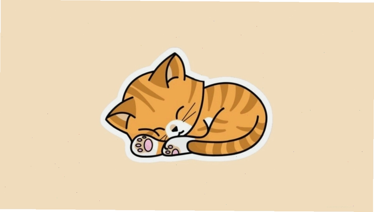 Mèo chibi đang ngủ say sưa