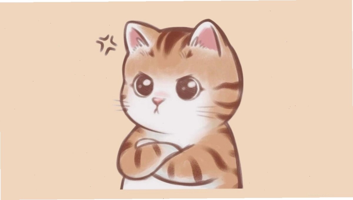 Mèo chibi ngồi trên đống sách
