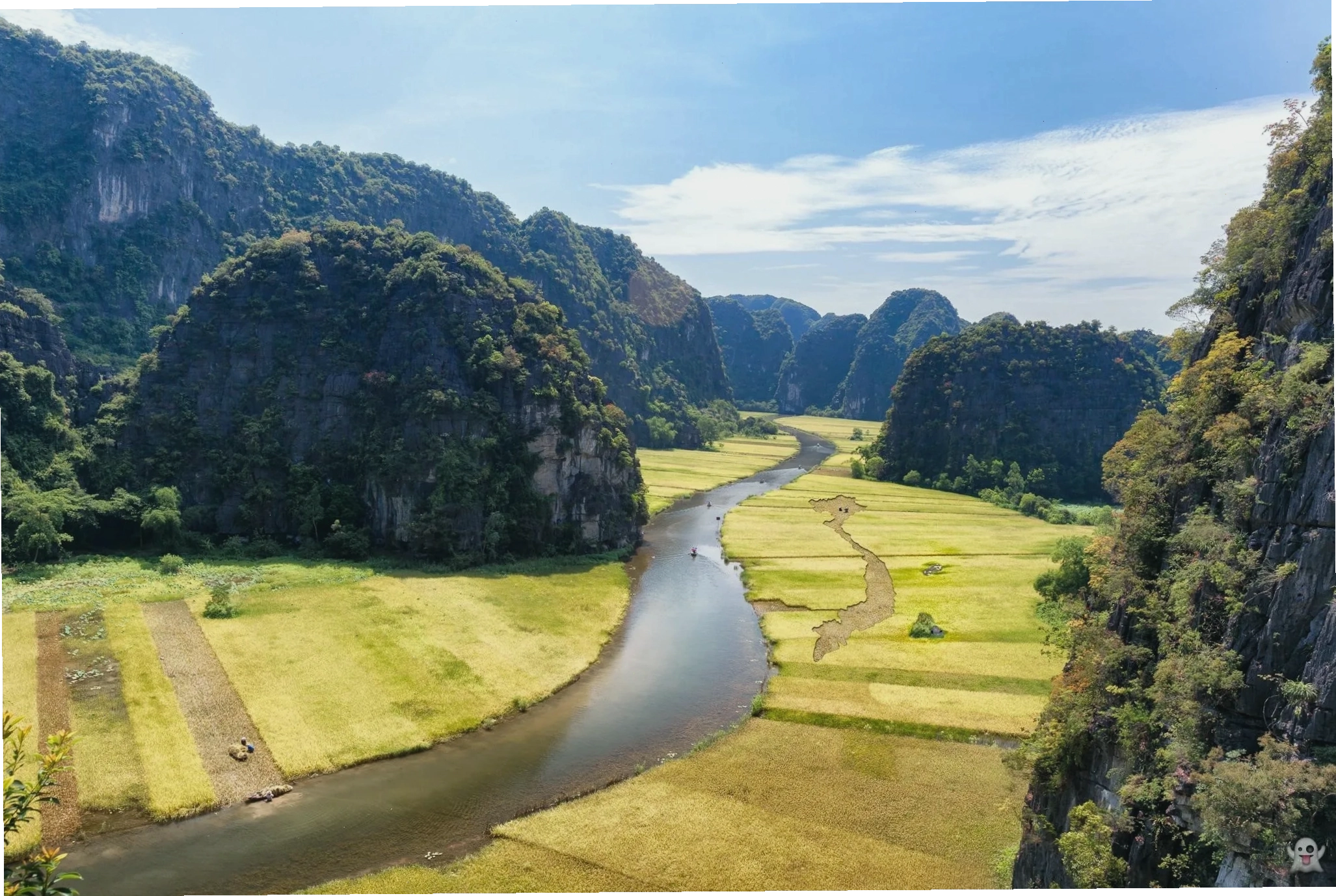 Mùa lúa chín rực rỡ tại Khu du lịch Tam Cốc - Bích Động