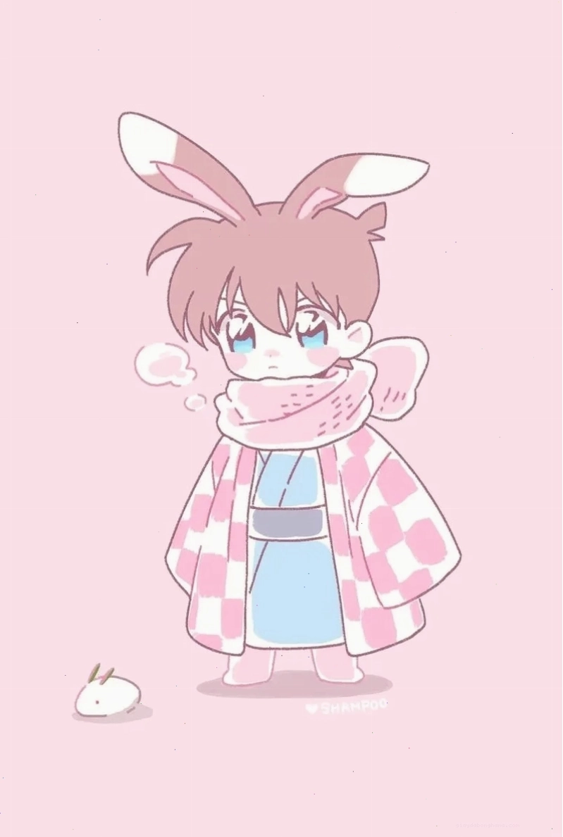Ngắm nhìn hình conan chibi cute đầy màu sắc