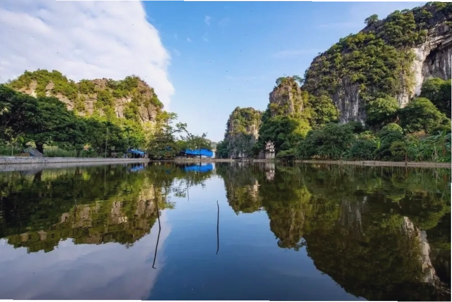 Rừng cây cổ thụ và thảm thực vật xanh mướt tại Vườn quốc gia Cúc Phương