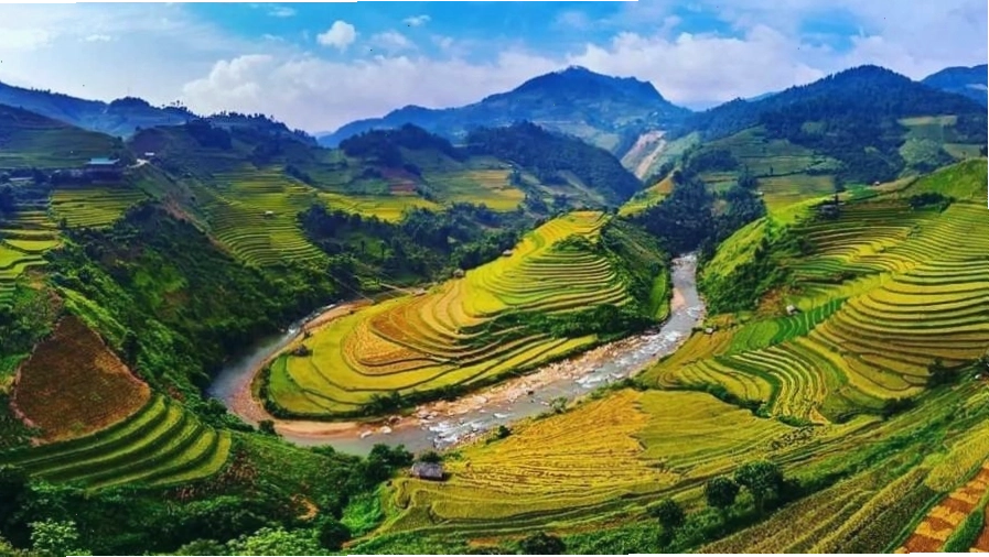 Ruộng bậc thang xanh mướt tại Thung lũng Mường Hoa