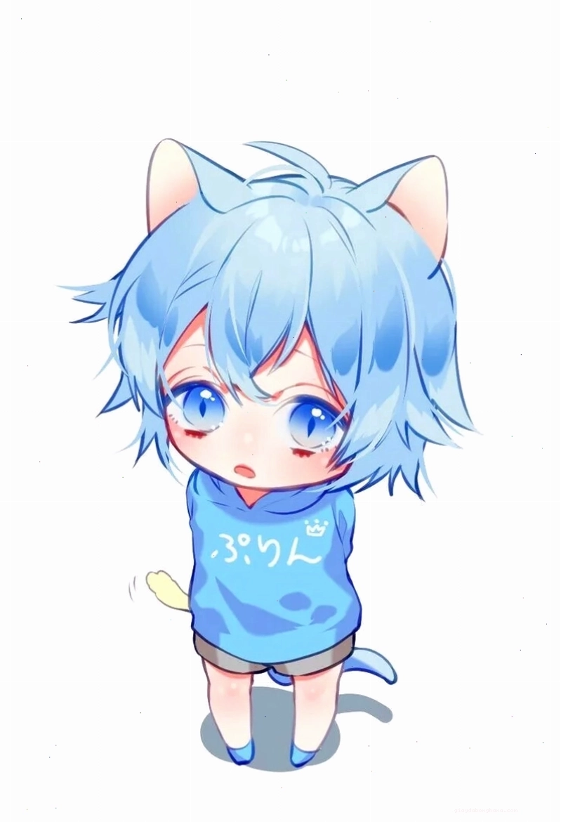 Tìm ngay avatar anime nam cute chibi đẹp độc lạ cho mạng xã hội