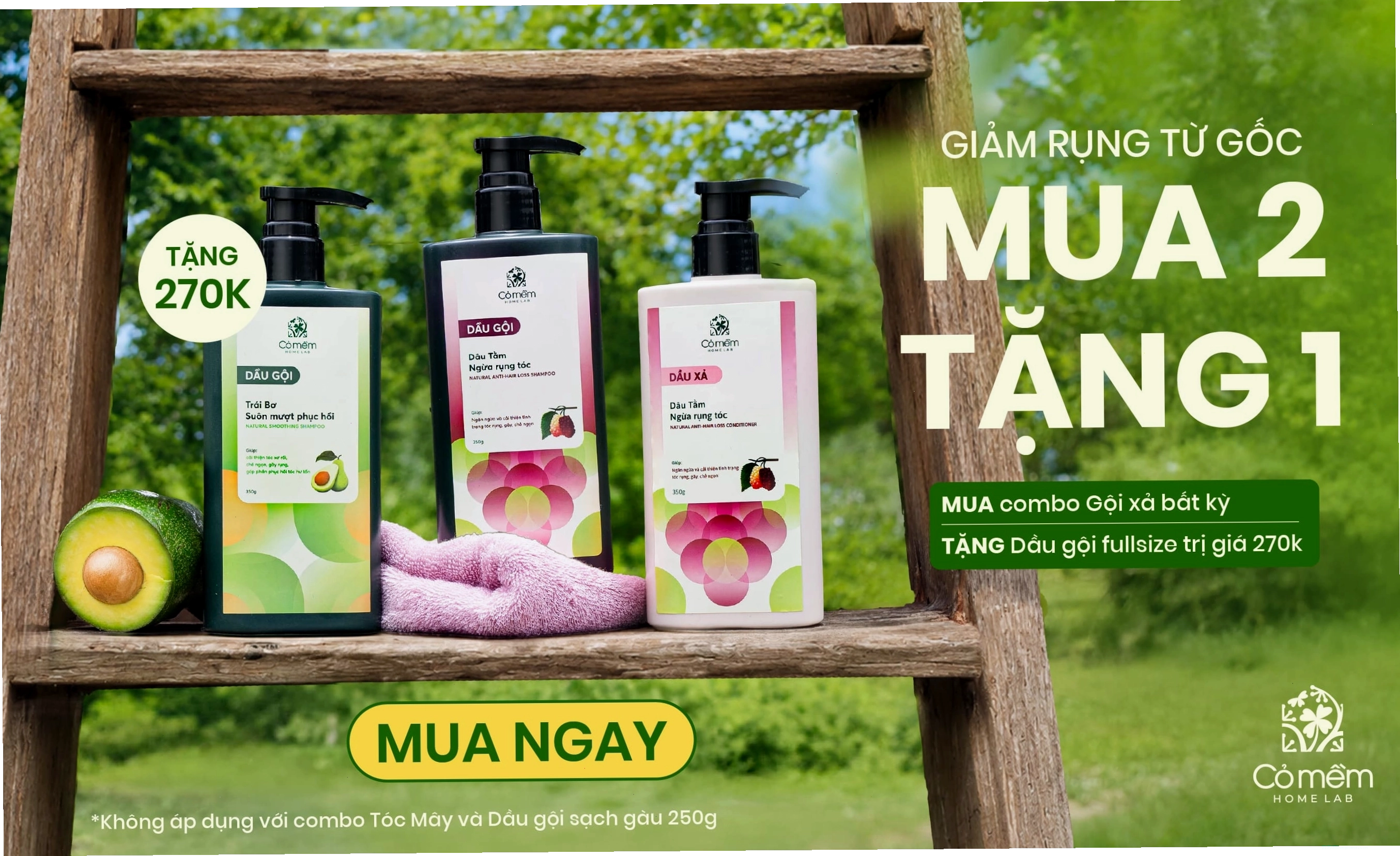 Tóc màu nâu cam khói thời thượng, có chiều sâu