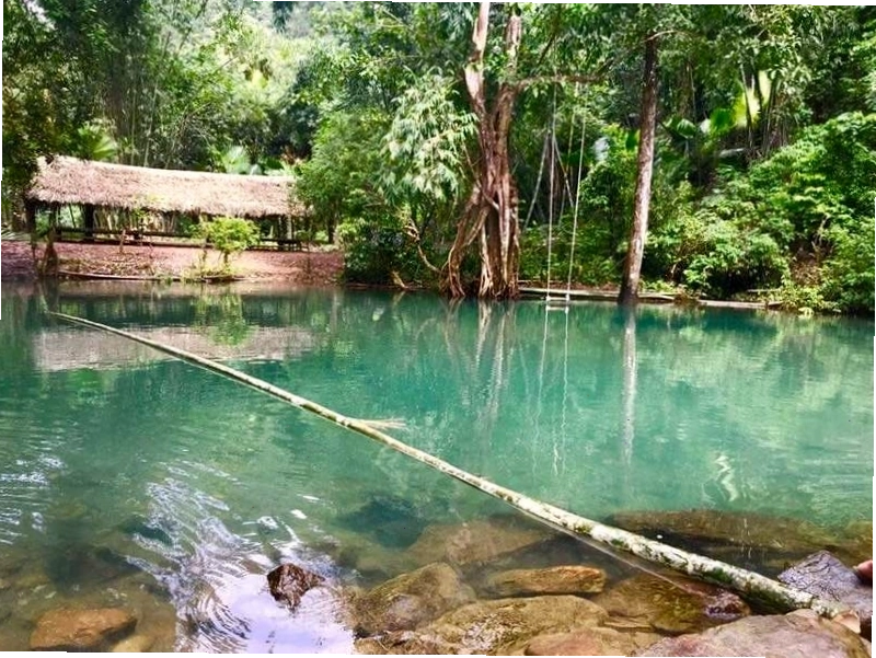 Vẻ đẹp hoang sơ và trong lành của Khu bảo tồn thiên nhiên Xuân Sơn