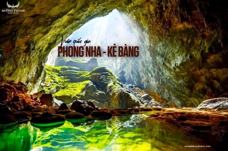 Vẻ đẹp hùng vĩ bên trong động Phong Nha