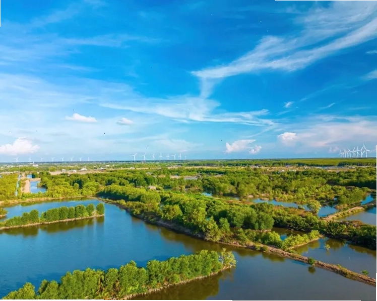 Vẻ đẹp thanh bình của Trà Vinh với những ngôi chùa cổ