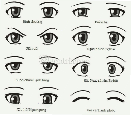 Vẽ mi mắt cong vút và lông mày biểu cảm cho mắt anime