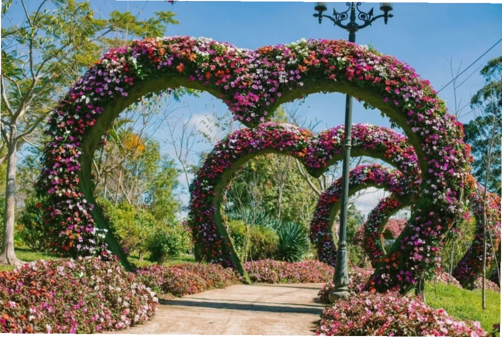 Vườn hoa Đà Lạt rực rỡ sắc màu quanh năm