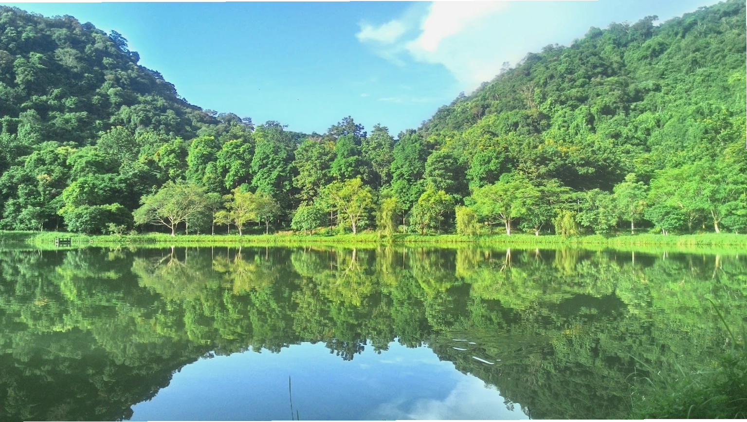 Vườn Quốc gia Cúc Phương, một trong những địa điểm du lịch Ninh Bình với thảm thực vật phong phú