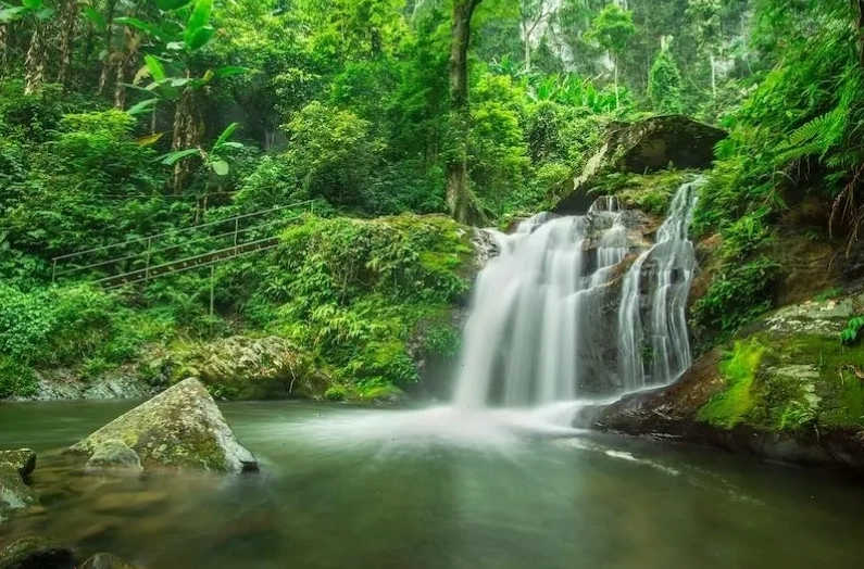 Vườn quốc gia Pù Mát là địa điểm du lịch Nghệ An với hệ sinh thái rừng già và thác Kèm hùng vĩ