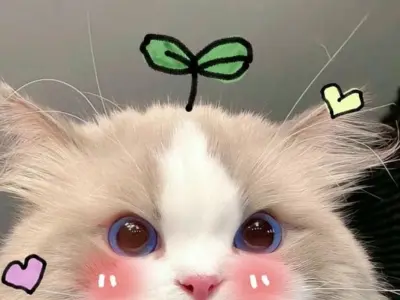 Avatar meme bùng nổ cá tính qua bộ sưu tập ảnh nghệ thuật