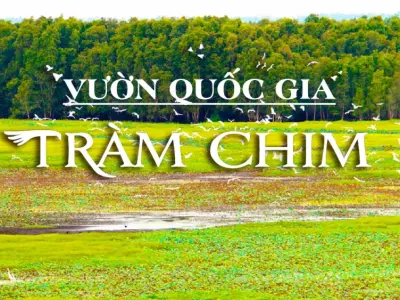 Trải nghiệm mùa nước nổi tại vườn Quốc gia Tràm Chim
