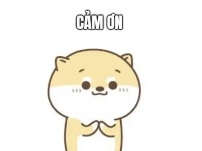 Meme cảm ơn bùng nổ cảm xúc qua bộ ảnh nghệ thuật mới