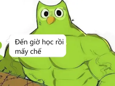 Duolingo meme bùng nổ hài hước qua bộ ảnh nghệ thuật mới