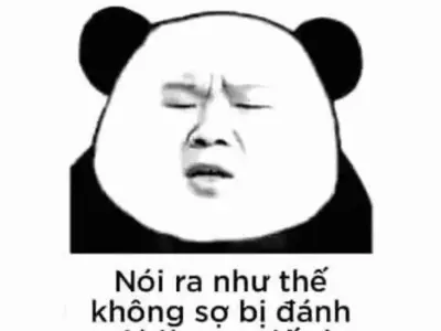 Gấu trúc bựa bùng nổ hài hước qua bộ ảnh nghệ thuật