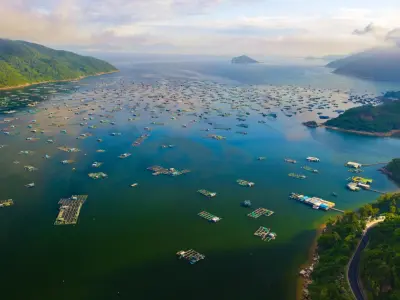 Vũng rô - Nơi lưu giữ dấu ấn lịch sử và thiên nhiên tuyệt đẹp