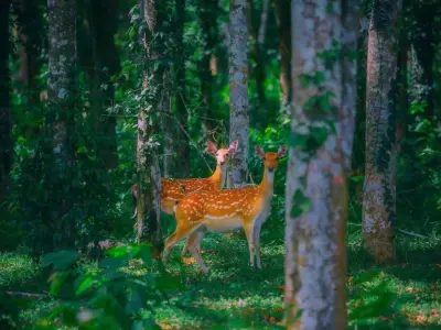 Vườn quốc gia Cúc Phương - Thiên đường sinh thái Việt Nam