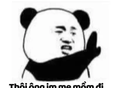 Meme gấu trúc bựa bùng nổ hài hước qua bộ ảnh nghệ thuật