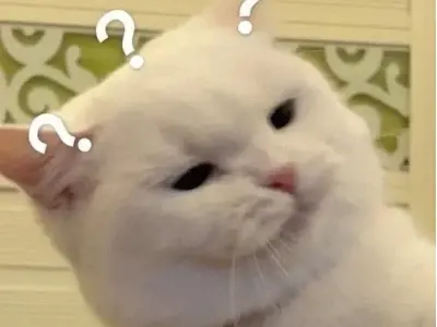 Meme khó hiểu bùng nổ sáng tạo qua bộ ảnh nghệ thuật mới