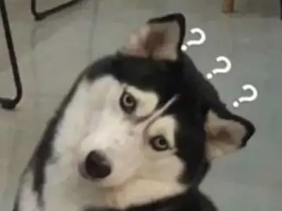 Không meme bùng nổ hài hước qua bộ sưu tập ảnh nghệ thuật