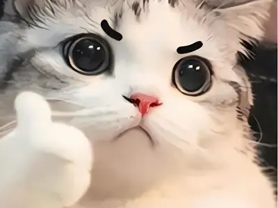 Ảnh meme mèo bựa bùng nổ hài hước qua bộ ảnh nghệ thuật