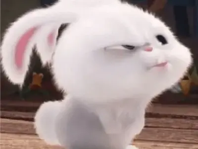 Thỏ Snowball bùng nổ đáng yêu qua bộ sưu tập ảnh nghệ thuật