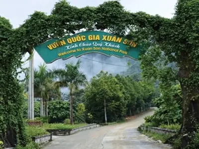 Hành trình xanh về Vườn quốc gia Xuân Sơn đầy mê hoặc
