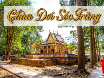 Những điều thú vị về Chùa Dơi - Ngôi chùa đầy bí ẩn