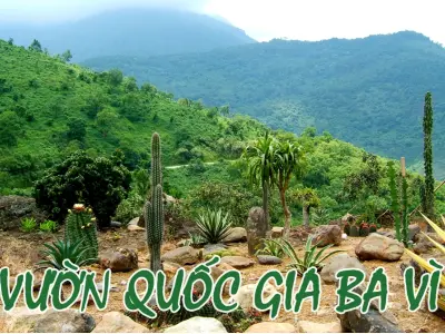 Vườn Quốc gia Ba Vì - Hành trình trở về với núi rừng