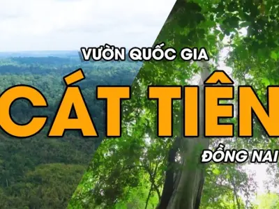 Khám phá Cát Tiên - Vẻ đẹp của rừng già và động vật hoang dã