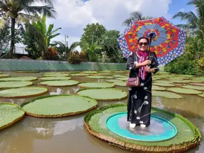 Chùa Lá Sen và vẻ đẹp huyền ảo giữa đồng bằng sông nước