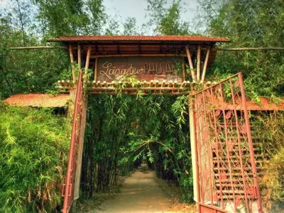 Làng tre Phú An - Du lịch xanh với không gian thanh bình